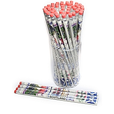 50 Scotland Pencils