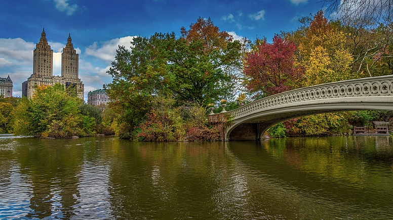 central park in new york