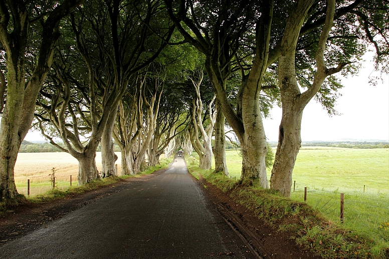 game of thrones dark hedges