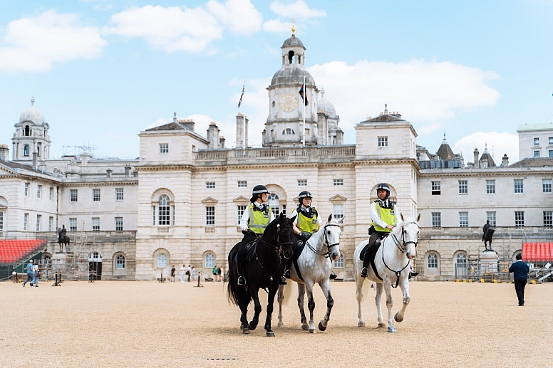 police horses in london