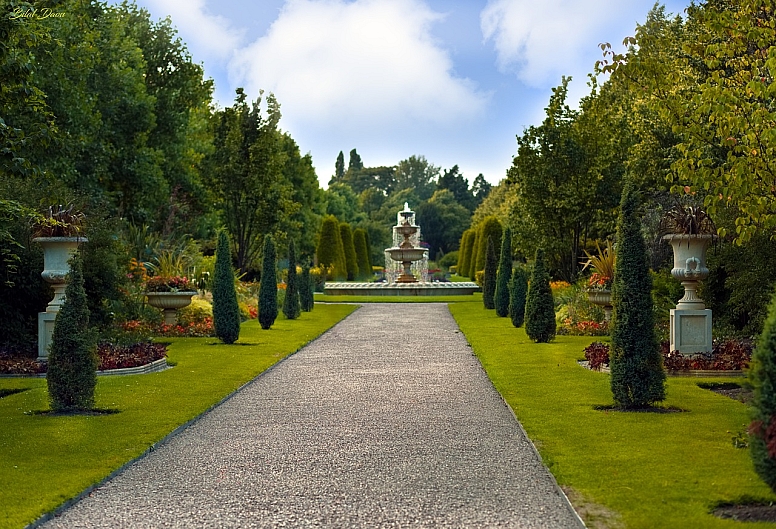 royal garden in regents park